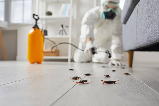 Commercial Kitchen Cockroach Control in Maynardville
